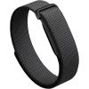 image:imageGoogle Fitbit Air  Screenless Activity Tracker with Fitness Heart Rate and Sleep Tracking  Personalized AIPowered Coaching  Up to 7 Days Battery Life  Works with iOS and Android  BerryObsidian